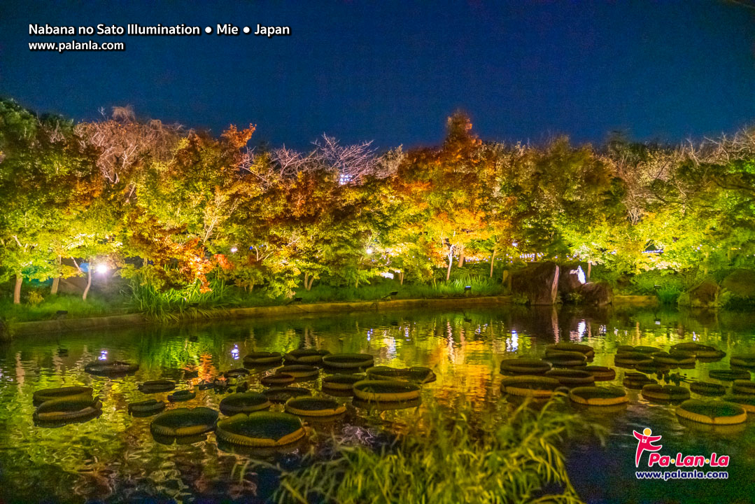 Nabana no Sato Illumination